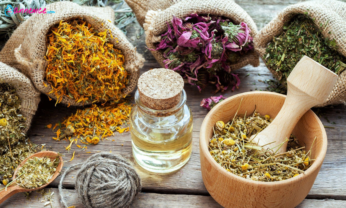 Fitoterapist Nedir yada Kimdir?